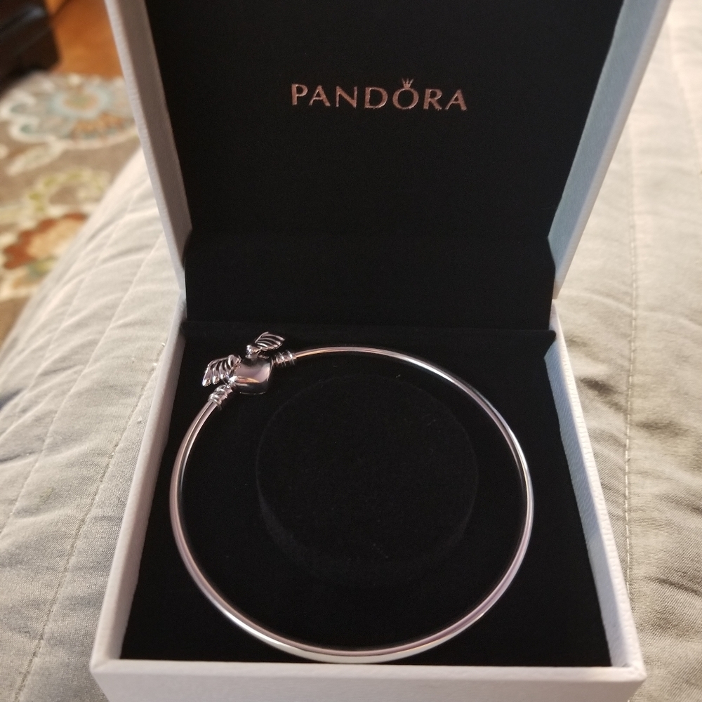 Pandora Bracelet